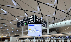 IATA：尼日利亚等非洲国家航空旅行2月份增长34.7%